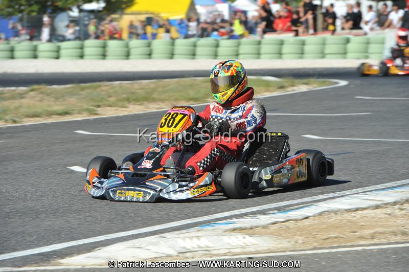 DSC (2518).JPG